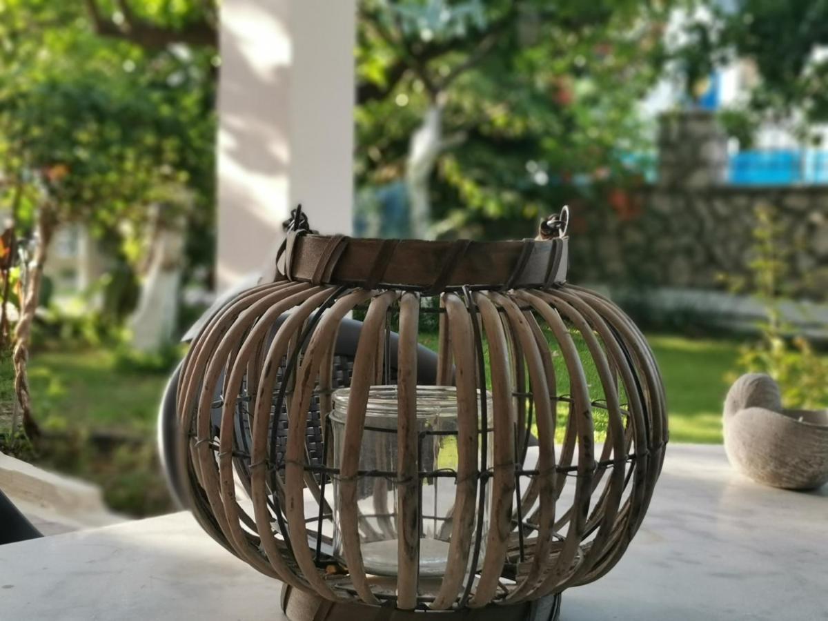Nely'S Luxury Home ニドリ エクステリア 写真